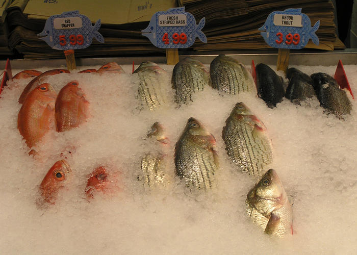 fish on ice at market v1