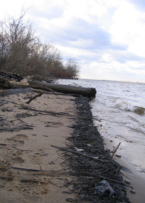 nj oil spill