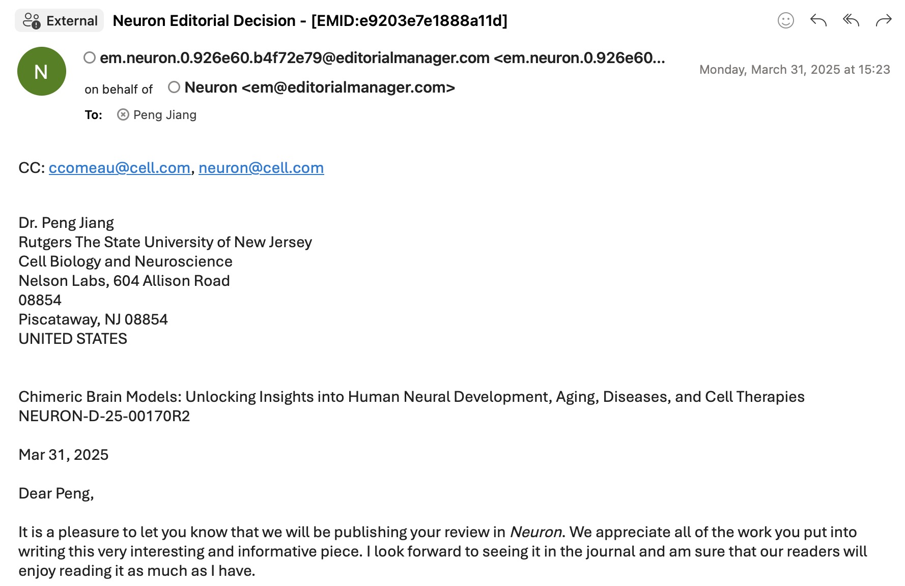 Neuron.jpeg