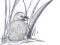 eagle chick small